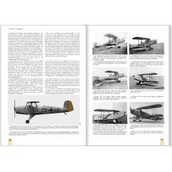 Fascination Bücker Aircraft
